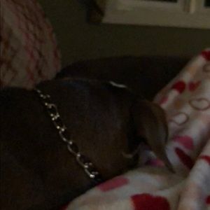 Meet your Posher, Meghan